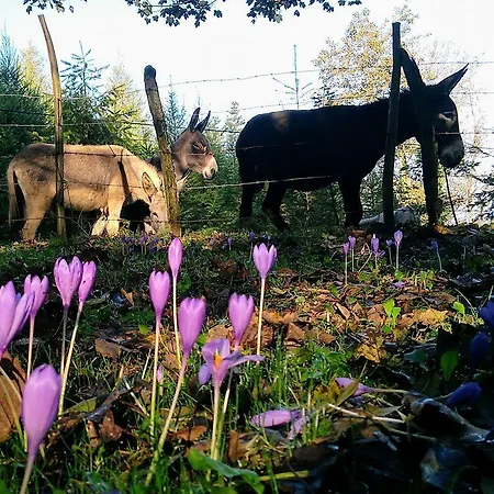 Ixua Hotela 3* Eibar