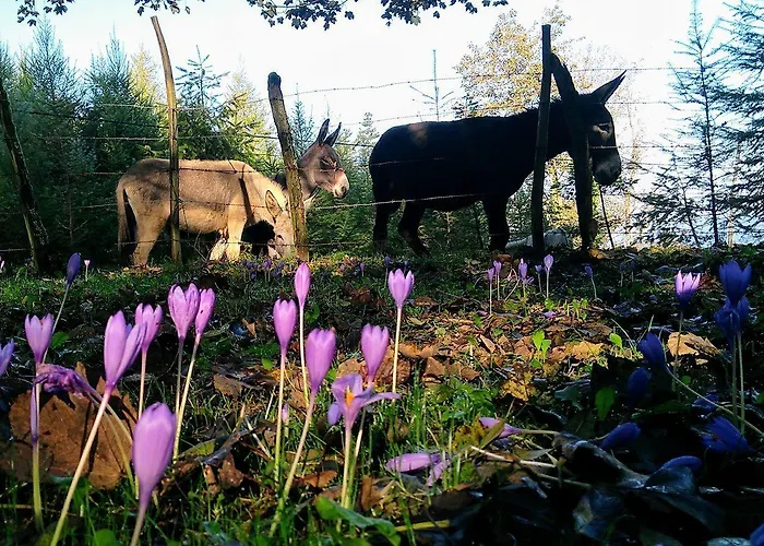 Ixua Hotela 3* Eibar